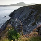 Cliff-top flora